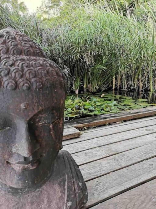 Villa Zen Сен-Франсуа Экстерьер фото